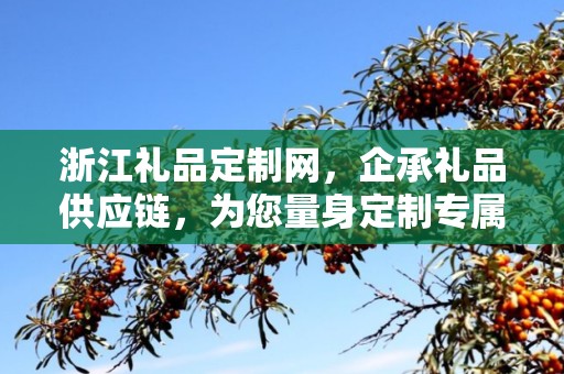 浙江礼品定制网，企承礼品供应链，为您量身定制专属礼品