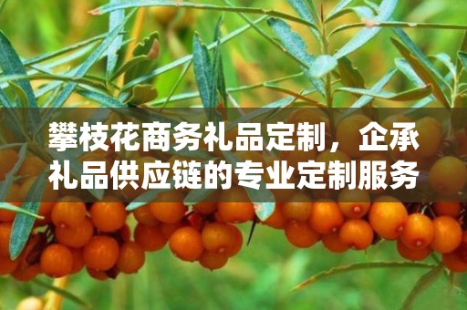 攀枝花商务礼品定制，企承礼品供应链的专业定制服务
